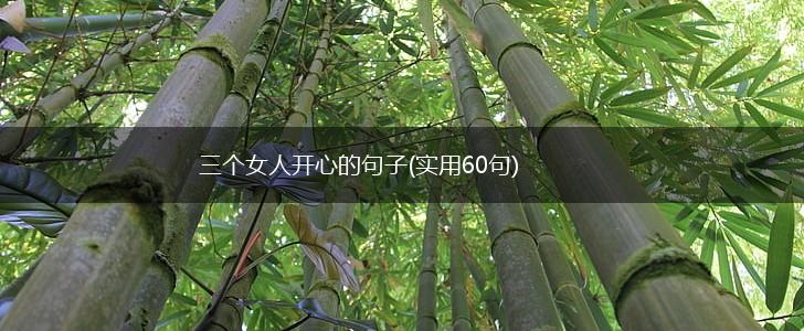 三个女人开心的句子(实用60句),第1张