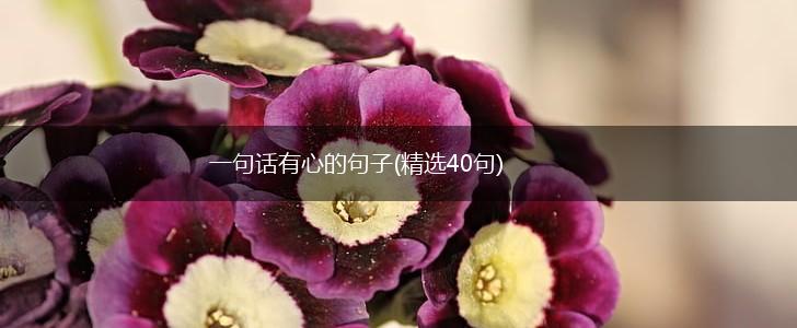 一句话有心的句子(精选40句),第1张