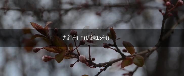 三九造句子(优选15句),第1张