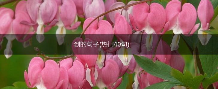 一到的句子(热门40句),第1张