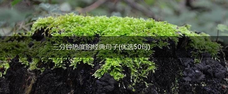 三分钟热度的经典句子(优选50句),第1张