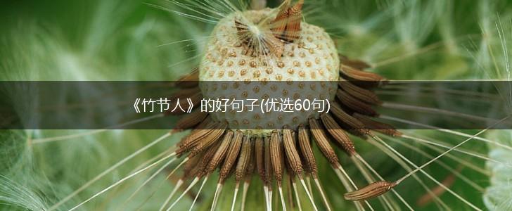 《竹节人》的好句子(优选60句),第1张