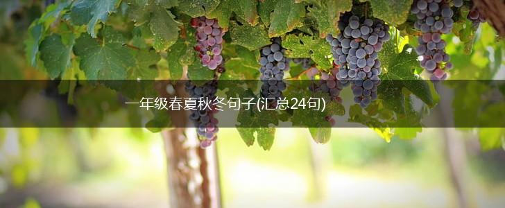 一年级春夏秋冬句子(汇总24句),第1张