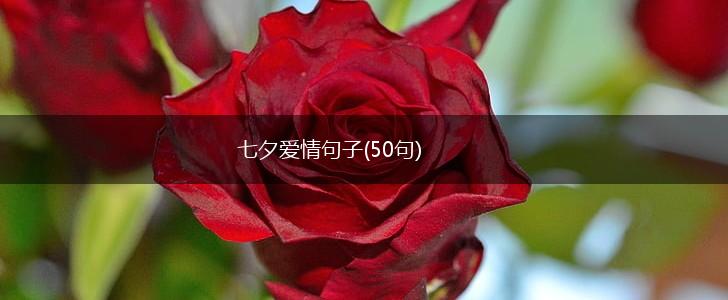 七夕爱情句子(50句),第1张