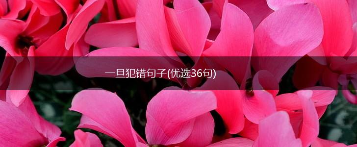一旦犯错句子(优选36句),第1张