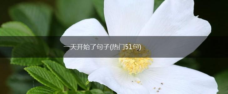 一天开始了句子(热门51句),第1张