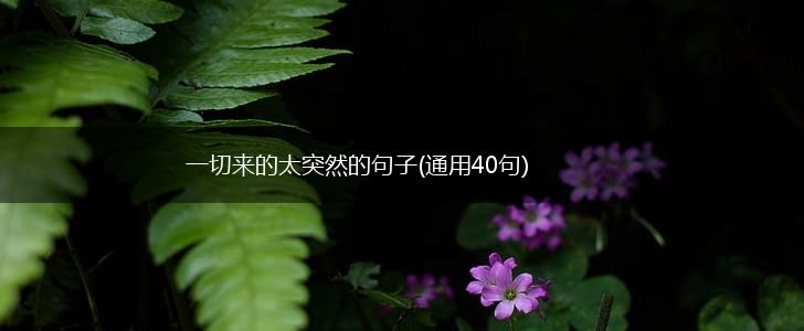 一切来的太突然的句子(通用40句),第1张