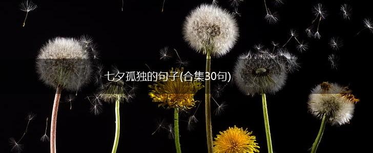 七夕孤独的句子(合集30句),第1张