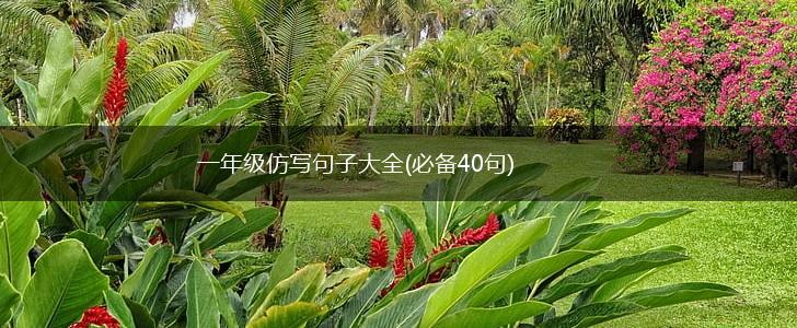 一年级仿写句子大全(必备40句),第1张