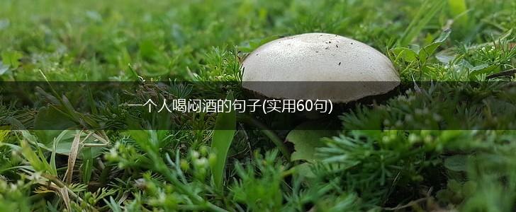 一个人喝闷酒的句子(实用60句),第1张