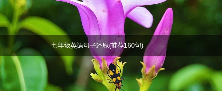 七年级英语句子还原(推荐160句),第1张