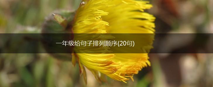 一年级给句子排列顺序(20句),第1张
