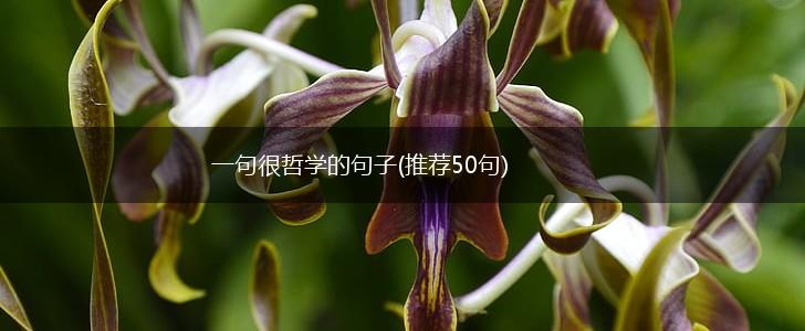 一句很哲学的句子(推荐50句),第1张