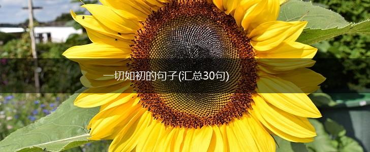 一切如初的句子(汇总30句),第1张