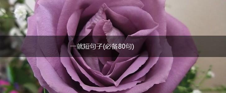 一就短句子(必备80句),第1张