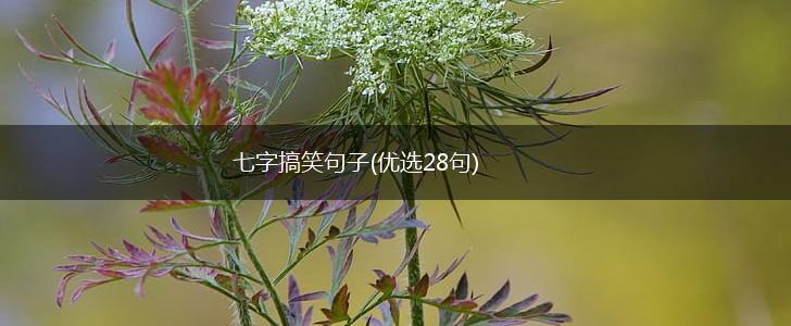 七字搞笑句子(优选28句),第1张