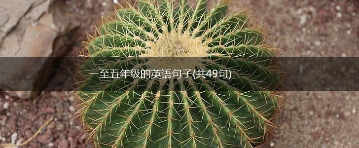 一至五年级的英语句子(共49句),第1张