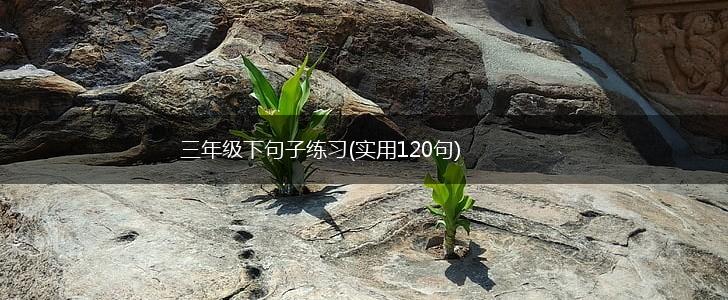三年级下句子练习(实用120句),第1张