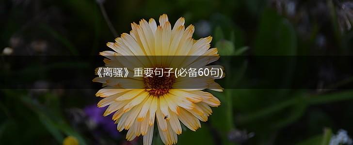 《离骚》重要句子(必备60句),第1张