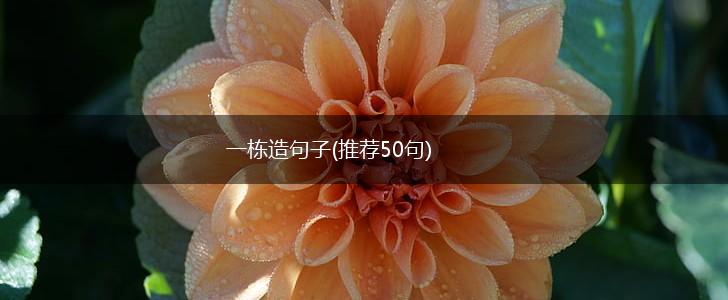 一栋造句子(推荐50句),第1张