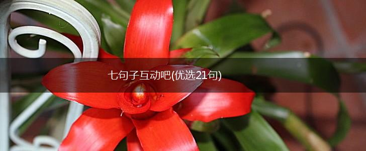 七句子互动吧(优选21句),第1张