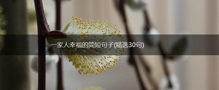 一家人幸福的简短句子(精选30句),第1张