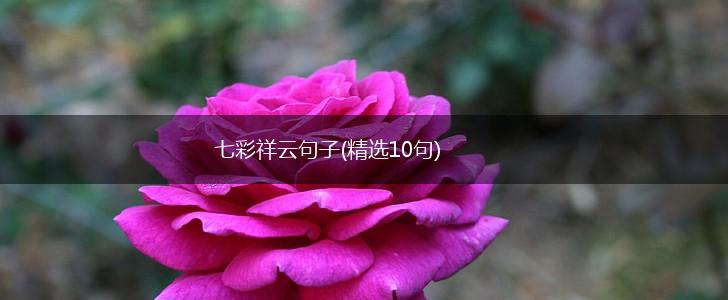 七彩祥云句子(精选10句),第1张
