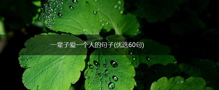 一辈子爱一个人的句子(优选60句),第1张