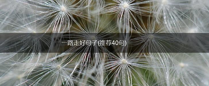 一路走好句子(推荐40句),第1张