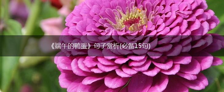 《端午的鸭蛋》句子赏析(必备15句),第1张