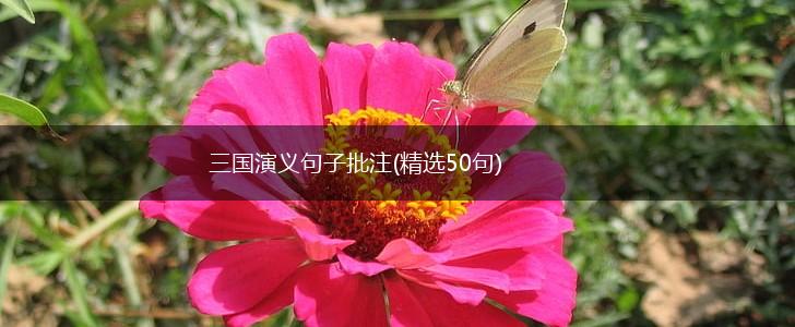 三国演义句子批注(精选50句),第1张