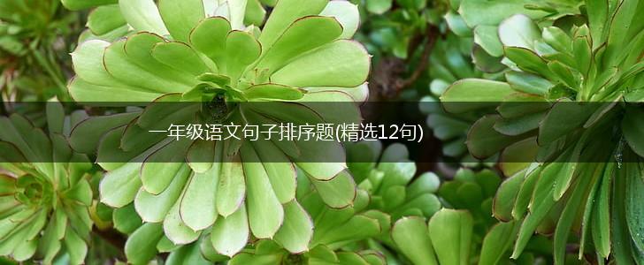 一年级语文句子排序题(精选12句),第1张