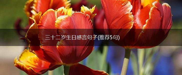 三十二岁生日感言句子(推荐5句),第1张