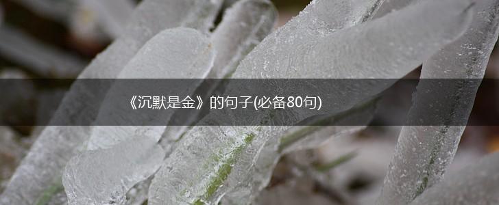 《沉默是金》的句子(必备80句),第1张
