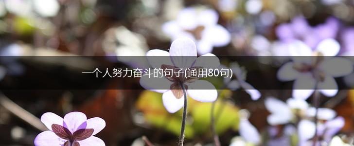 一个人努力奋斗的句子(通用80句),第1张