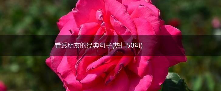 看透朋友的经典句子(热门50句),第1张