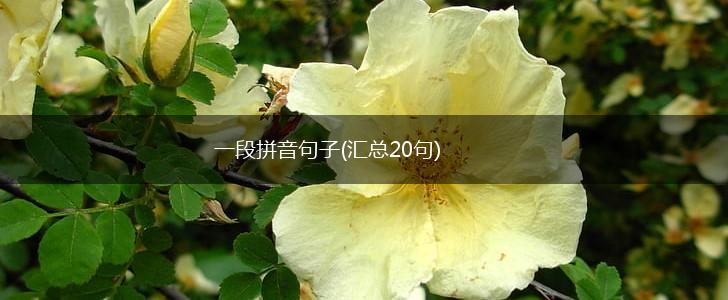 一段拼音句子(汇总20句),第1张