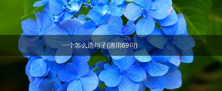 一个怎么造句子(通用69句),第1张
