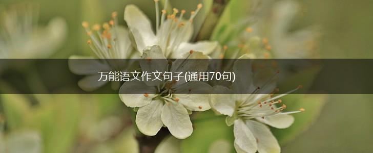 万能语文作文句子(通用70句),第1张