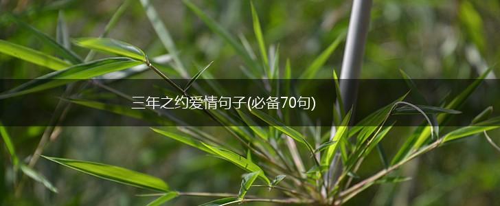 三年之约爱情句子(必备70句),第1张