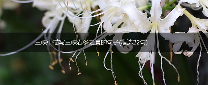 三峡中描写三峡春冬之景的句子(精选22句),第1张