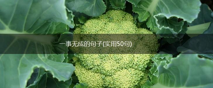 一事无成的句子(实用50句),第1张