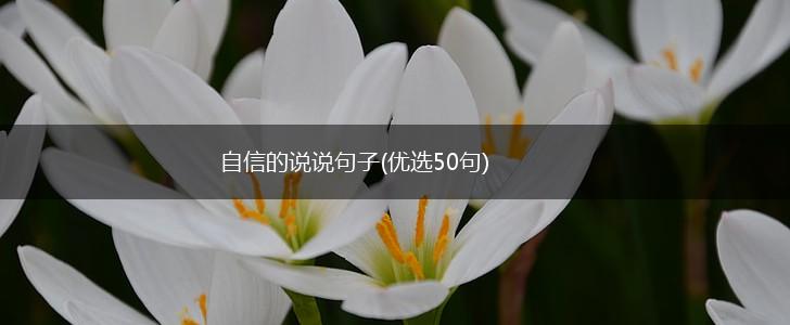 自信的说说句子(优选50句),第1张