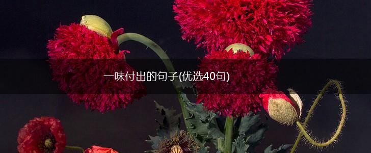 一味付出的句子(优选40句),第1张