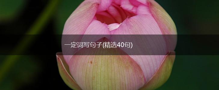 一定词写句子(精选40句),第1张