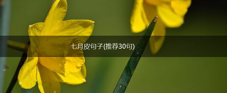 七月皮句子(推荐30句),第1张