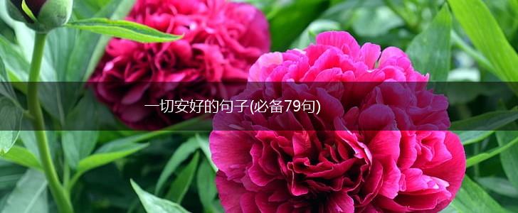 一切安好的句子(必备79句),第1张