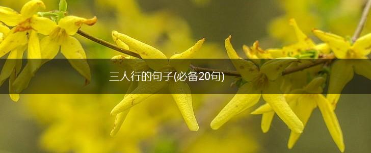 三人行的句子(必备20句),第1张
