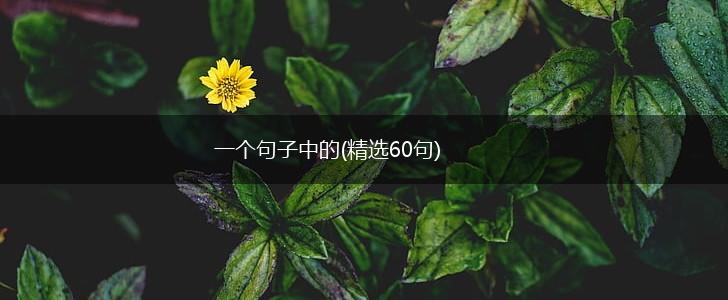 一个句子中的(精选60句),第1张