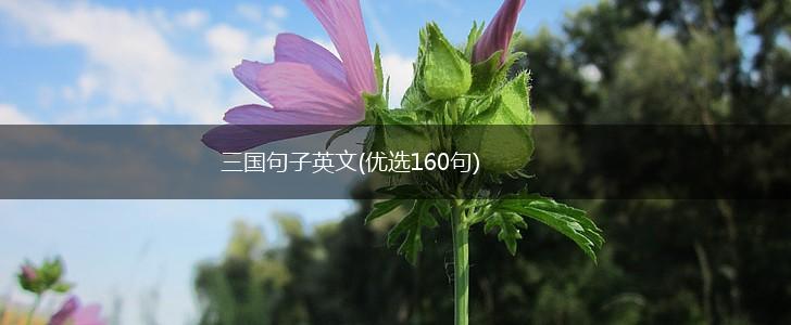 三国句子英文(优选160句),第1张